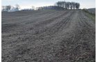 Property photo 64 - 98+/- Acres Offered in 6 Tracts or Combinations, Noble County, Indiana Farm
